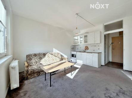 Pronájem bytu, 1+1, 38 m²