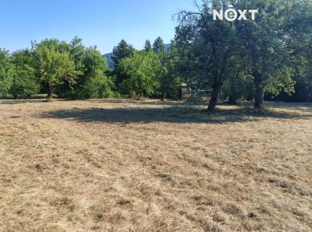 Prodej - pozemek, zahrada, 6 002 m²