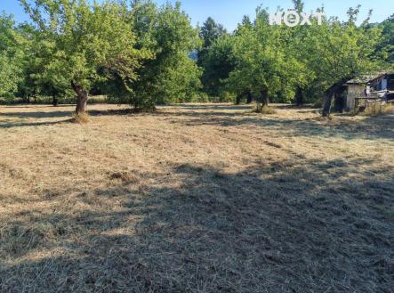 Prodej - pozemek, zahrada, 6 002 m²
