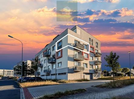 43.jpg | Pronájem bytu, 2+kk, 212 m²