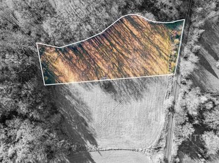 . | Prodej - pozemek pro bydlení, 4 332 m²