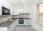 Pronájem bytu, 1+1, 38 m²