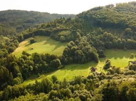Prodej - pozemek, les, 21 679 m² obrázek