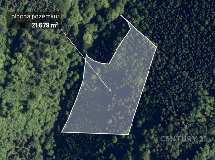 . | Prodej - pozemek, les, 21 679 m²