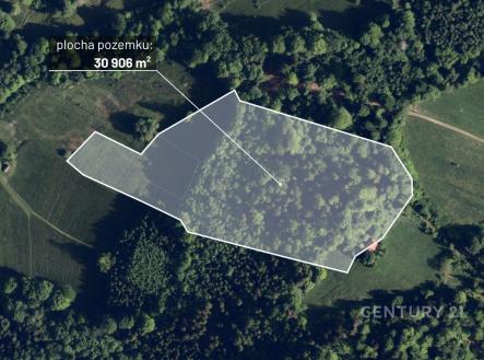 . | Prodej - pozemek, les, 30 906 m²