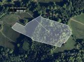 Prodej - pozemek, les, 30 906 m²