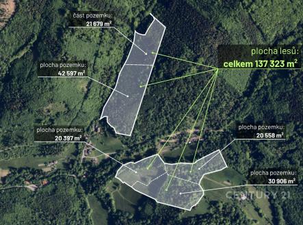 . | Prodej - pozemek, les, 30 906 m²