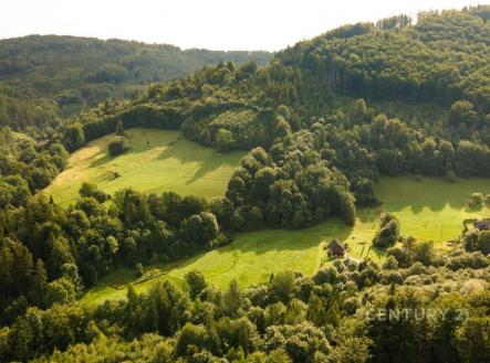 . | Prodej - pozemek, les, 30 906 m²