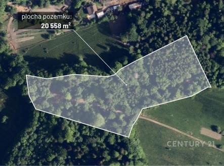 . | Prodej - pozemek, les, 20 558 m²