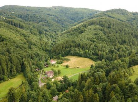 . | Prodej - pozemek, les, 20 397 m²