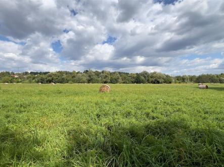 . | Prodej - pozemek, trvalý travní porost, 3 892 m²