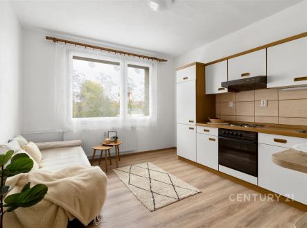 . | Prodej bytu, 2+kk, 40 m²