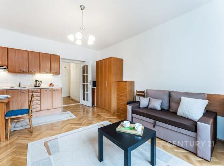 . | Pronájem bytu, 1+kk, 30 m²