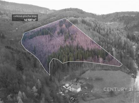 . | Prodej - pozemek, les, 42 597 m²