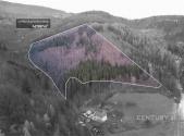 Prodej - pozemek, les, 42 597 m²