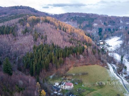 . | Prodej - pozemek, les, 42 597 m²