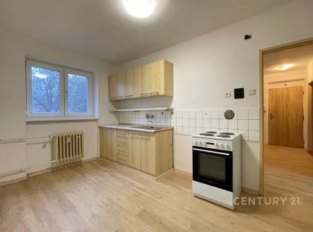 . | Pronájem bytu, 2+1, 56 m²