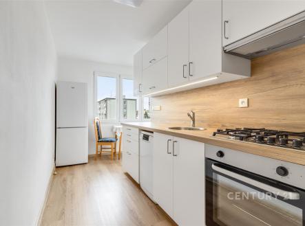 . | Pronájem bytu, 1+1, 41 m²