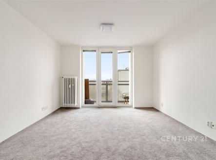 . | Pronájem bytu, 1+1, 41 m²