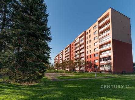 Panelový bytový dům s lodžiemi, obklopený zelení a udržovaným trávníkem, nedaleko města, vhodný pro rodinné bydlení, klidná lokalita. | Pronájem bytu, 3+1, 73 m²