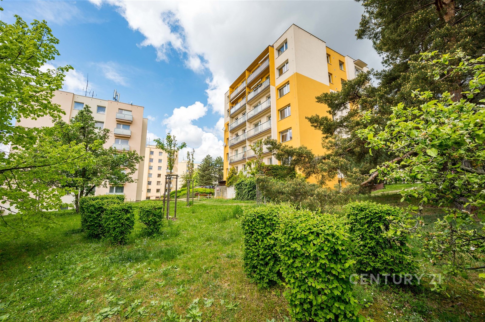Panelový bytový dům s rekonstruovanou fasádou obklopený zelení, moderní stavba, udržované okolí, klidná lokalita.