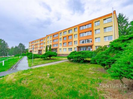 Pronájem bytu, 1+1, 27 m² obrázek