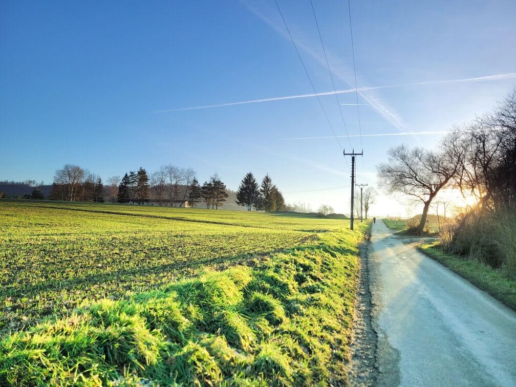 Prodej pozemek 50ha, Moravské Knínice