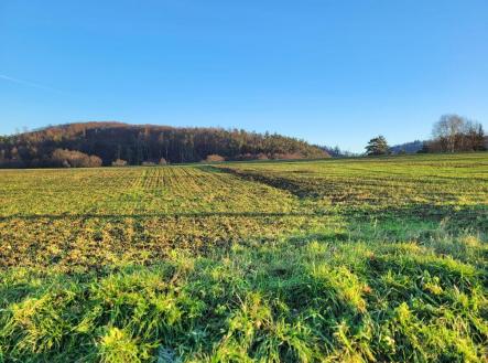 Prodej - pozemek, zemědělská půda, 49 000 m²