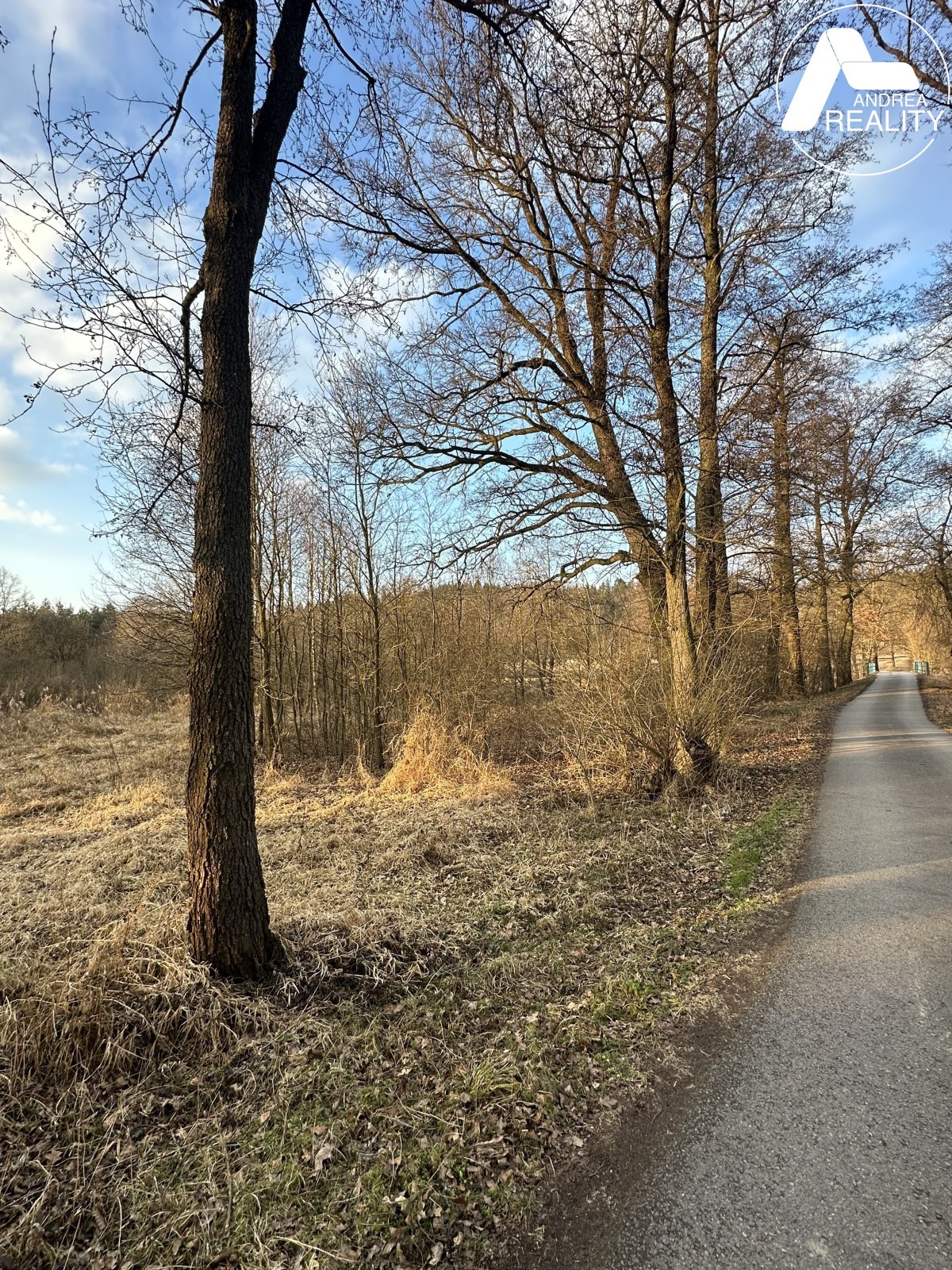 foto: 1