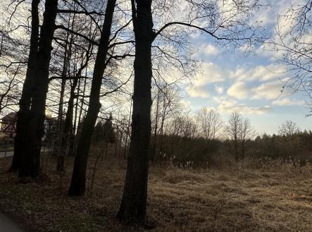 foto: 3 | Prodej - pozemek, zahrada, 4 971 m²
