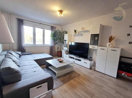 20250303-160135.jpg | Prodej bytu, 3+1, 80 m²