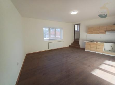 20241129-101001.jpg | Pronájem bytu, 1+1, 67 m²