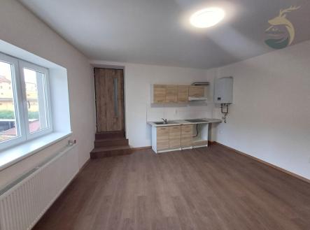 20241024-144914.jpg | Pronájem bytu, 1+1, 67 m²