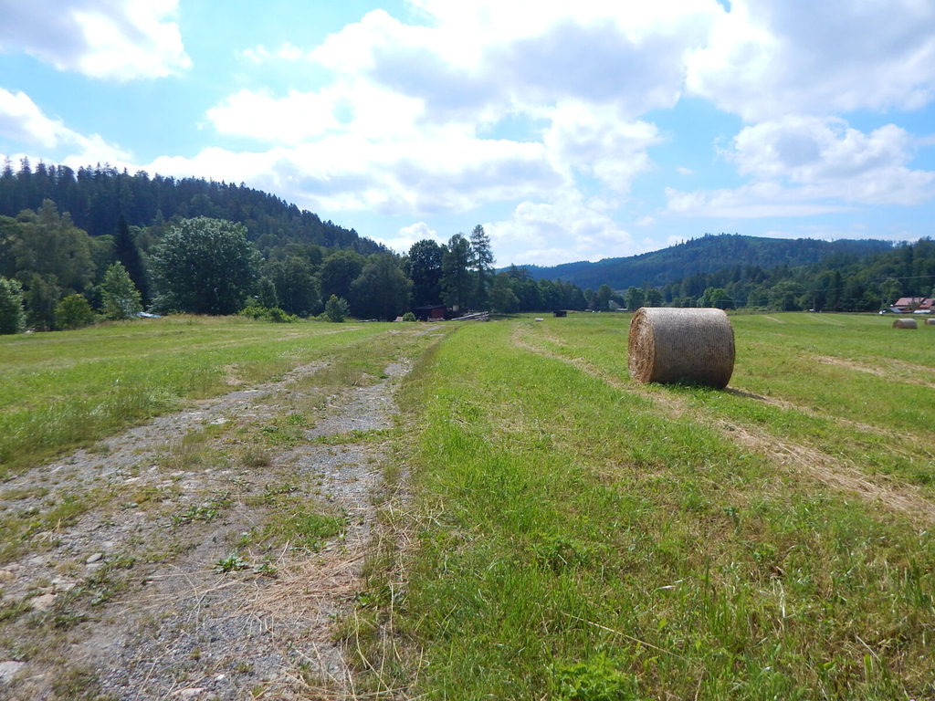 dscn7847.jpg