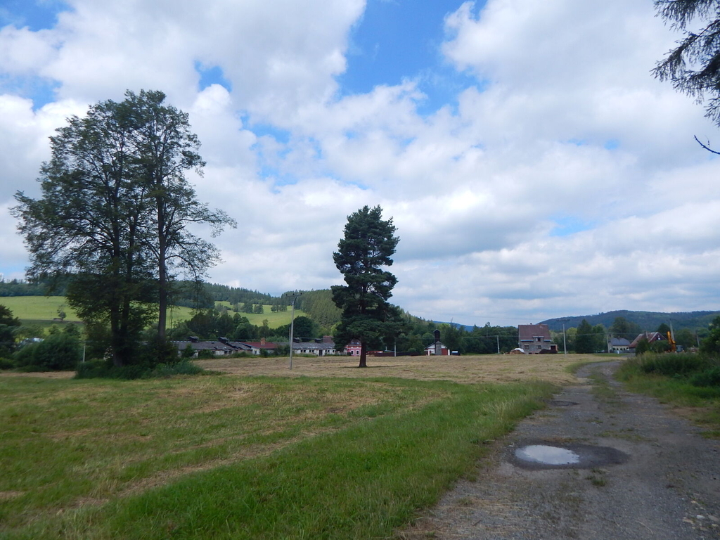 dscn7855.jpg