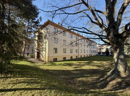 img-8924.jpeg | Pronájem bytu, 1+1, 31 m²