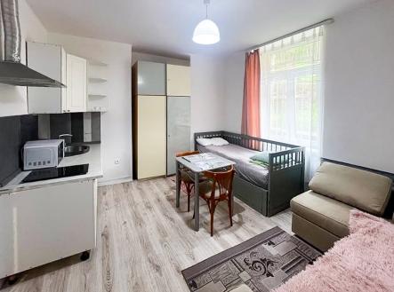 Pronájem bytu, 1+kk, 32 m² obrázek