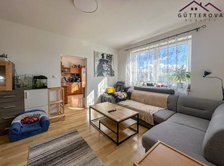 IMG_9184 | Pronájem bytu, 3+1, 65 m²