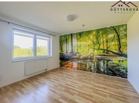 IMG_0471 | Pronájem bytu, 3+1, 65 m²