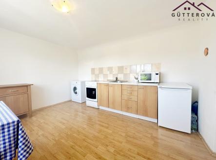 IMG_3055 | Pronájem bytu, 2+kk, 50 m²