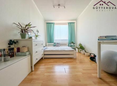 IMG_9686 | Pronájem bytu, 3+1, 62 m²