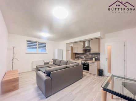 IMG_4252 | Pronájem bytu, 1+kk, 56 m²