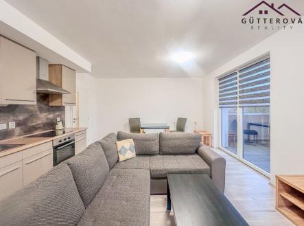 IMG_4255 | Pronájem bytu, 1+kk, 56 m²