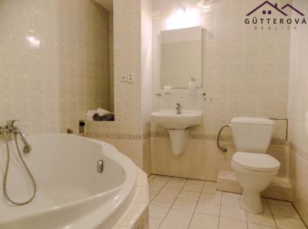 DSCN4975 | Pronájem bytu, 1+1, 38 m²