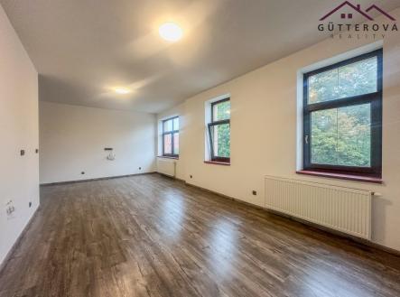 IMG_3004 | Pronájem bytu, 1+kk, 43 m²