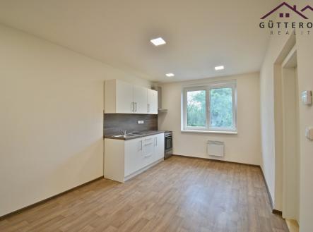 DSC_0735 | Pronájem bytu, 3+kk, 71 m²