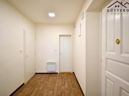 DSC_0747 | Pronájem bytu, 3+kk, 71 m²