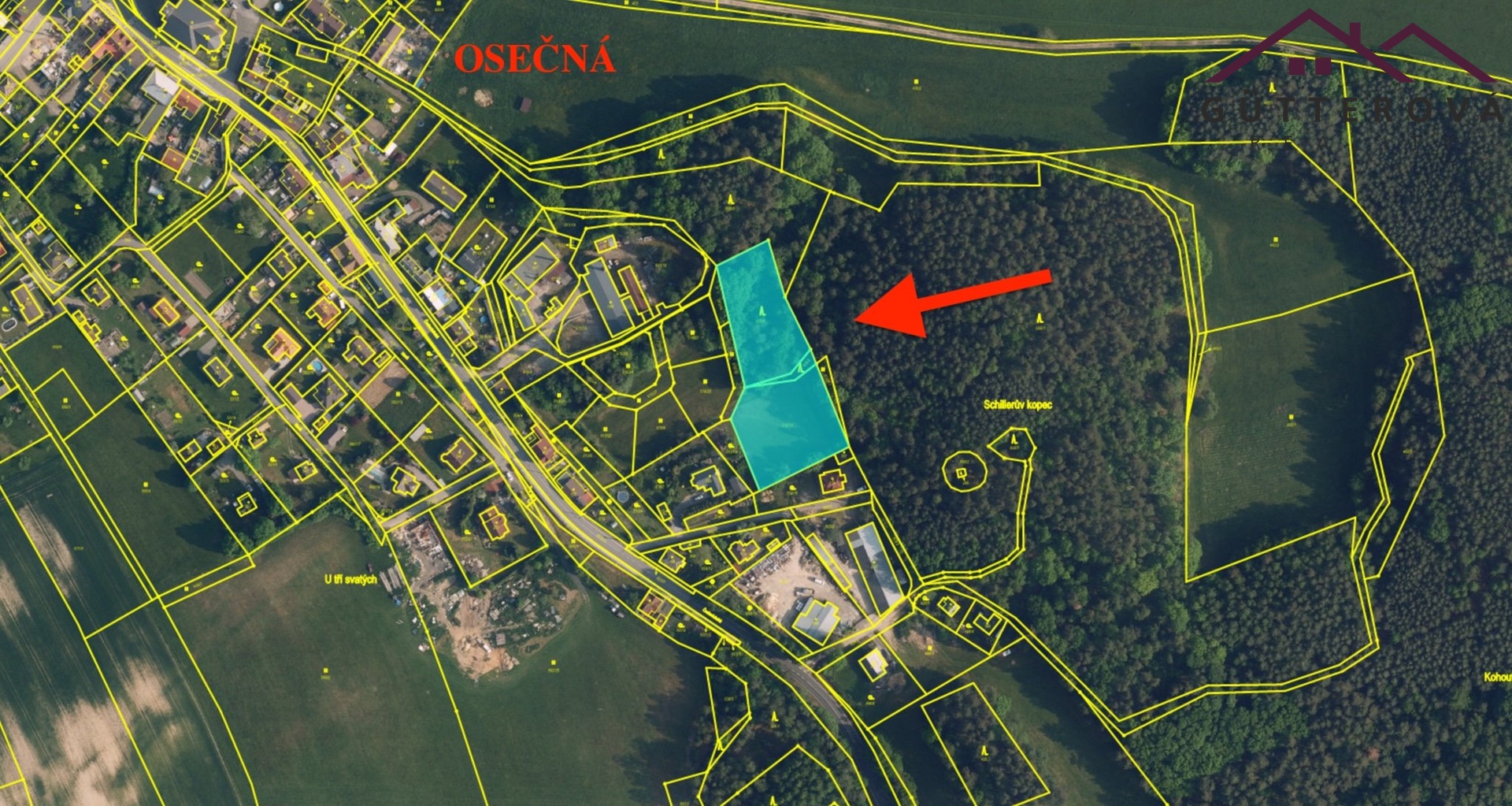 Snímek obrazovky 2026-02-11 v 12.18.30