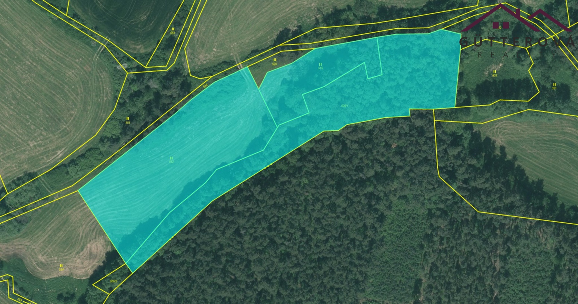 Snímek obrazovky 2026-02-20 v 15.25.54