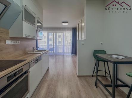 IMG_7075 | Pronájem bytu, 1+kk, 47 m²